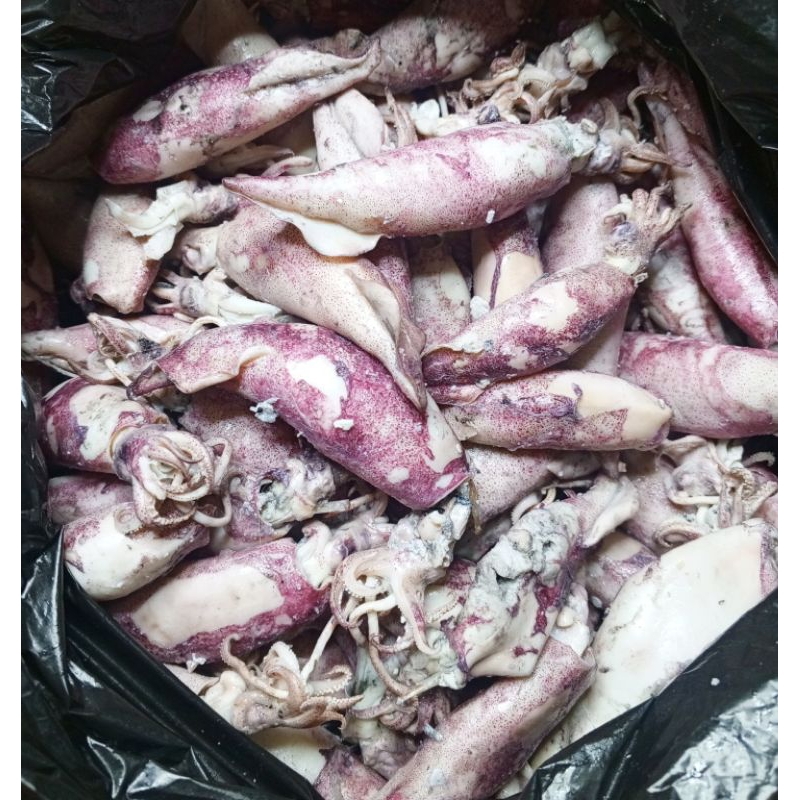 

Ikan Asin Cumi Sontong 100 gram