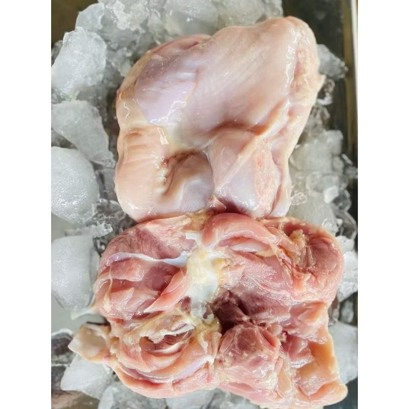 

PAHA FILLET AYAM FRESH ( tanpa kulit)