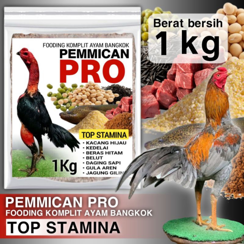 Fooding Ayam Bangkok Top Stamina Pemmican Pro