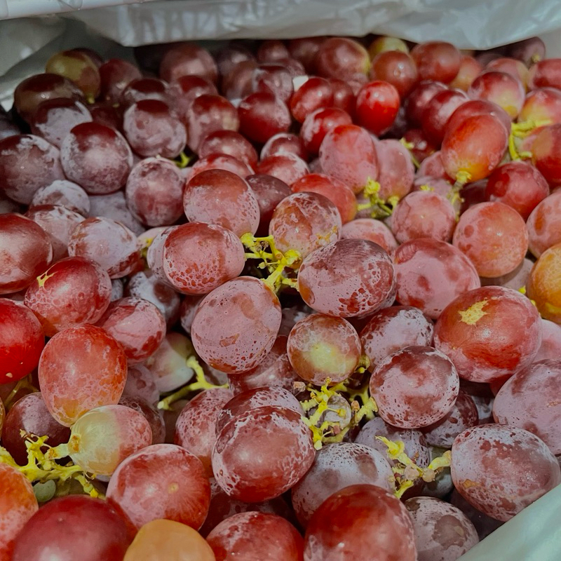 

Anggur Red Globe Aussie 500gr