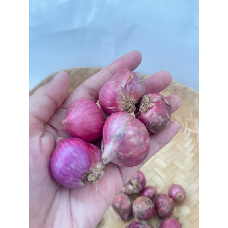 

(LIVE) Bawang Merah Besar Kering 1kg