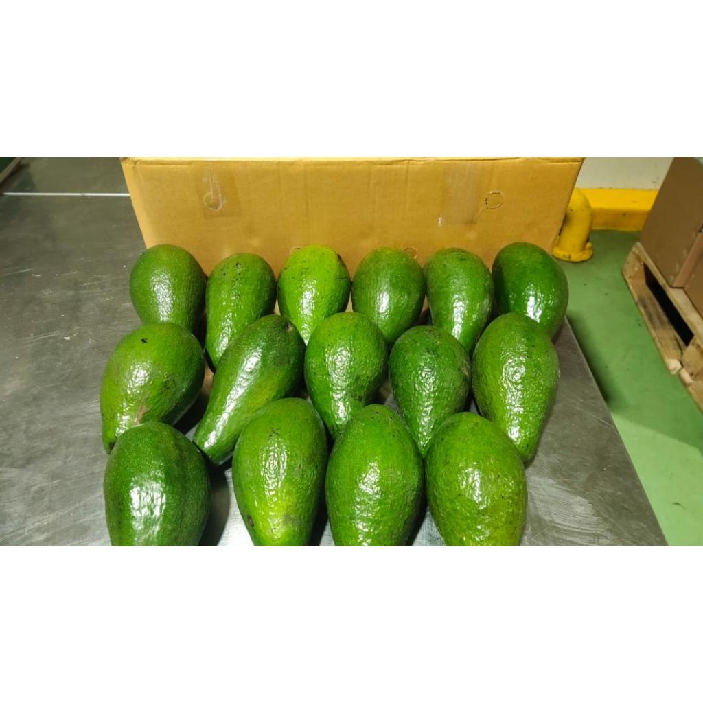 

Alpukat Mentega Lampung (5 Kg) Fresh