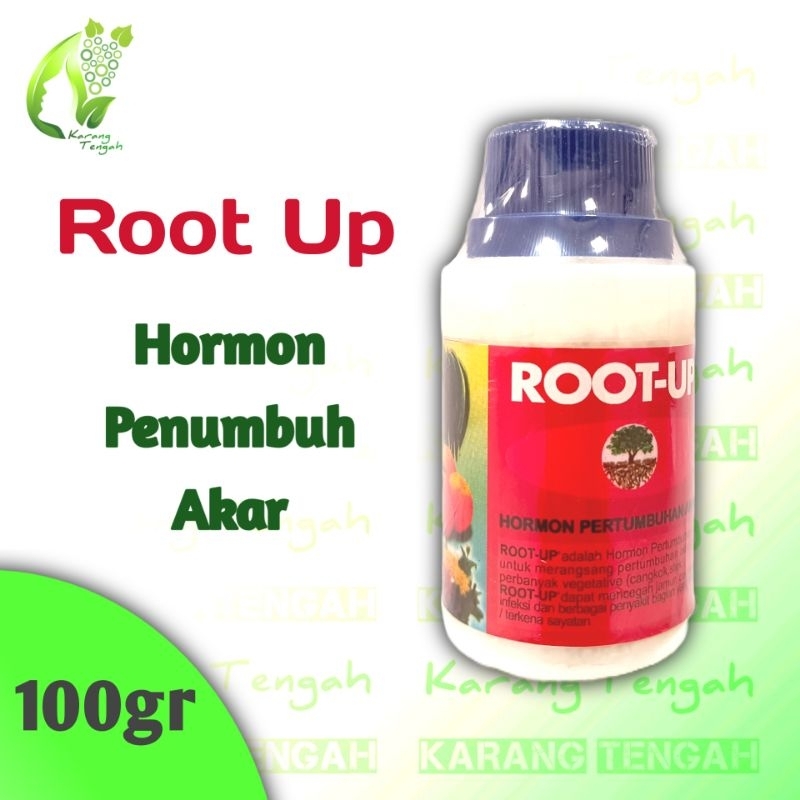 Root Up Hormon Perangsang akar | 100gr