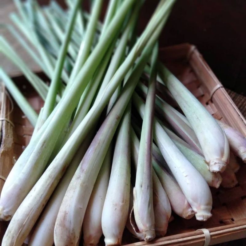 

Serai segar / Sereh fresh 100 - 500 gram