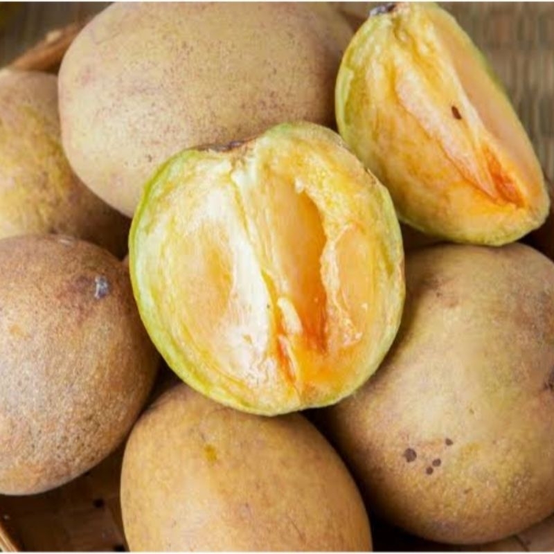 

Buah Sawo Madu Lokal Manis Fresh 500gr Promo Termurah Hemat Harga Terjangkau