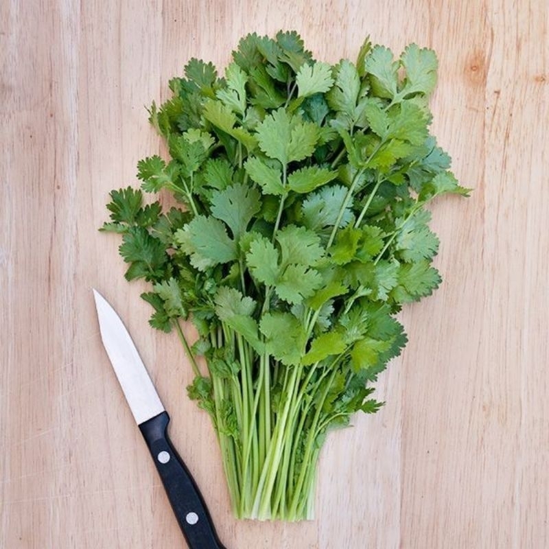 

daun seledri sueger / selalu fresh 50gr