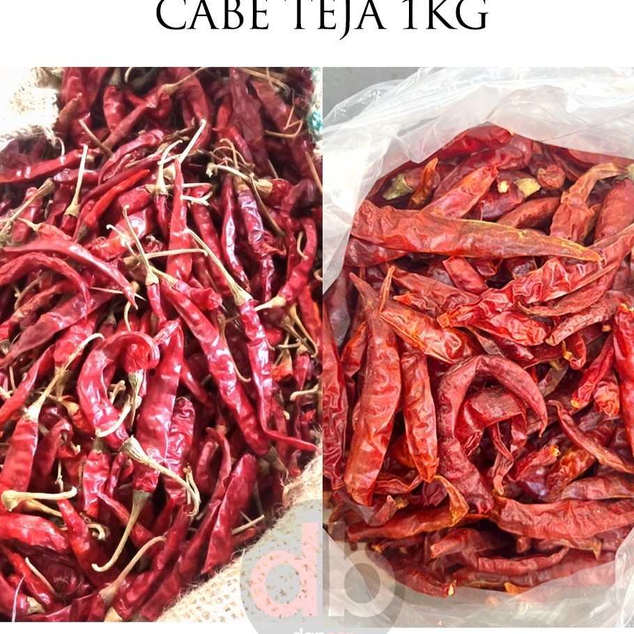 

Special Cabe Kering 1kg Cabe Rawit Extra Pedas