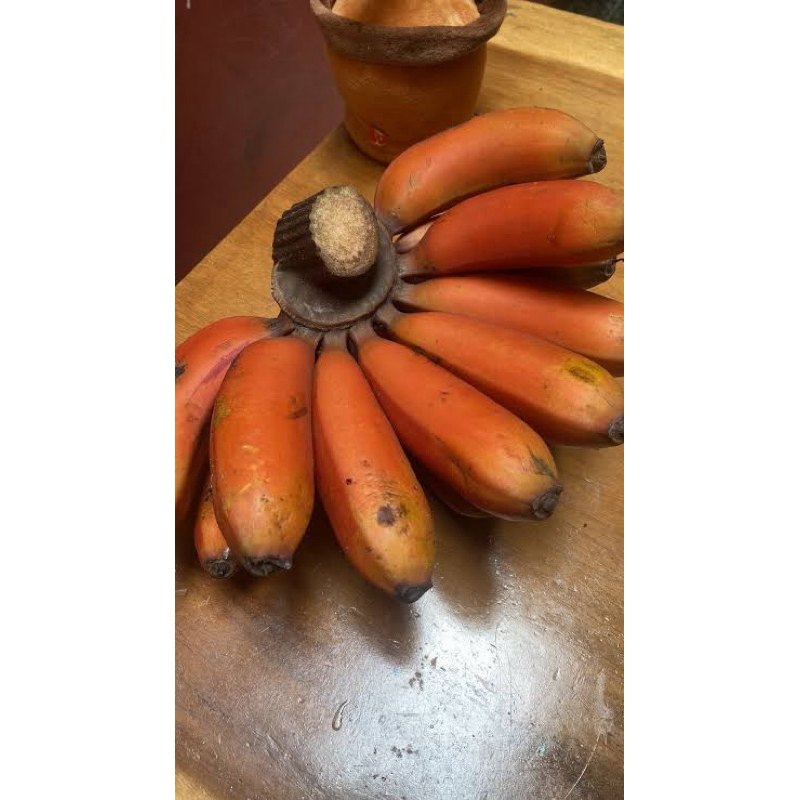 

pisang merah 1 sisir pisang kidang