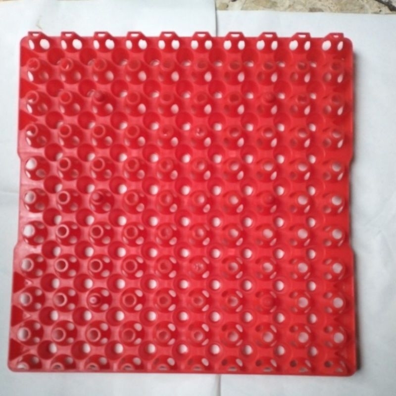 Tray plastik Telur puyuh