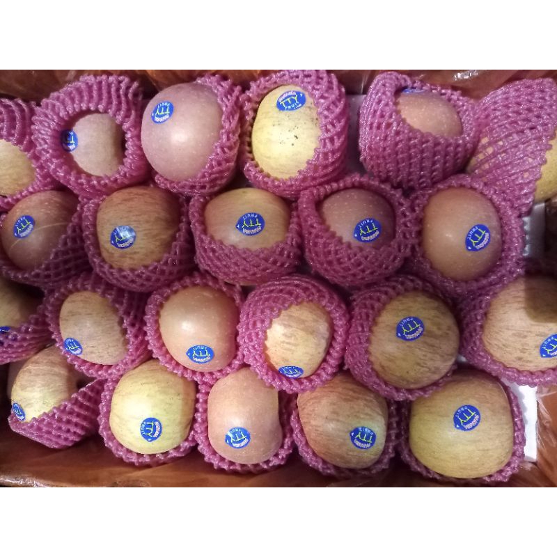

BUAH APEL FUJI 1KG KEDIRI