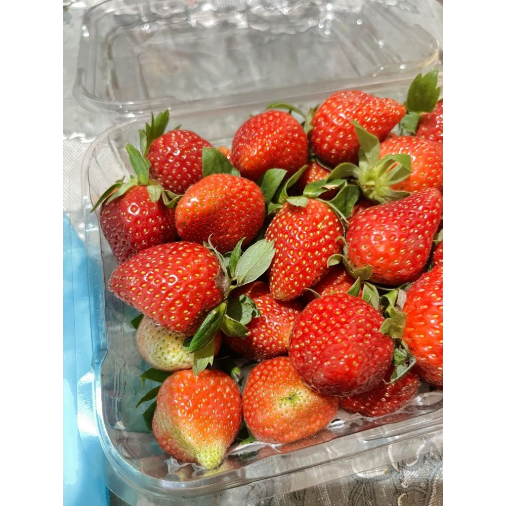 

Strawberry Fresh Bandung Premium A 500gr - Ciwidey Stroberi Strawbery