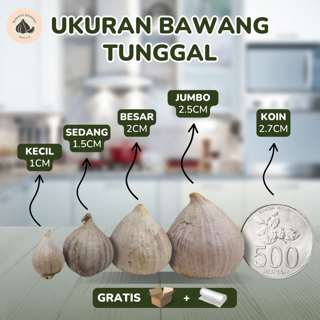 

RB 5 KG PAKET Bawang Putih Tunggal Lanang SEDANG Ukuran 1.5 Cm
