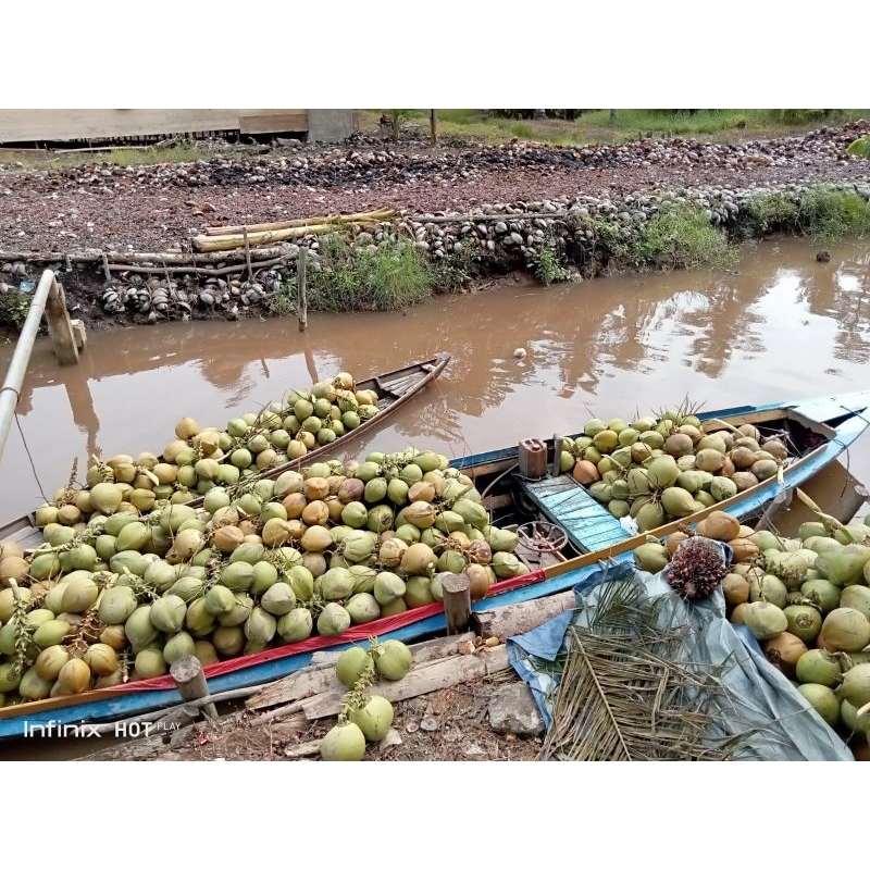 

Dogan Muda partai besar minimal 100 buah