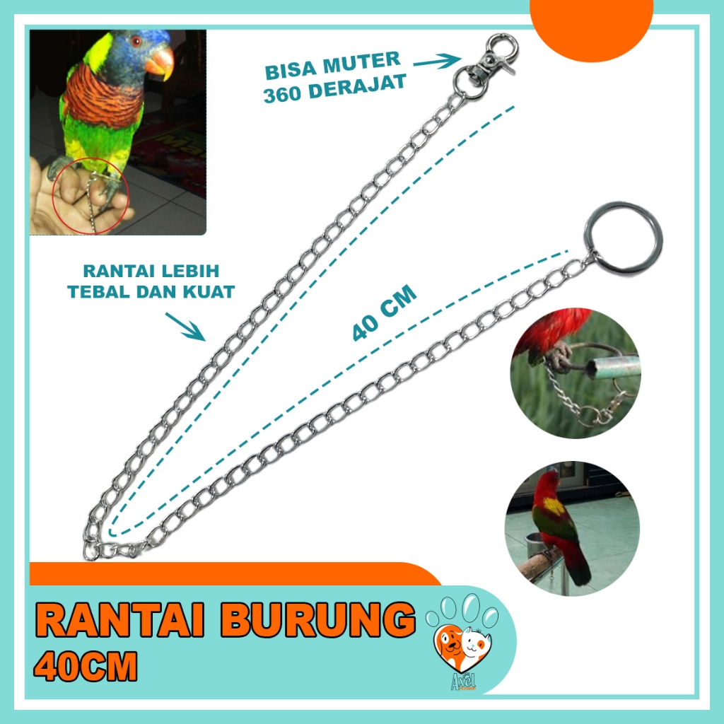 RANTAI BURUNG TALI BURUNG FREE FLY FF RANTAI LOVEBIRD RANTAI BESI RING LOVEBIRD IKAT KAKI UMBARAN TR