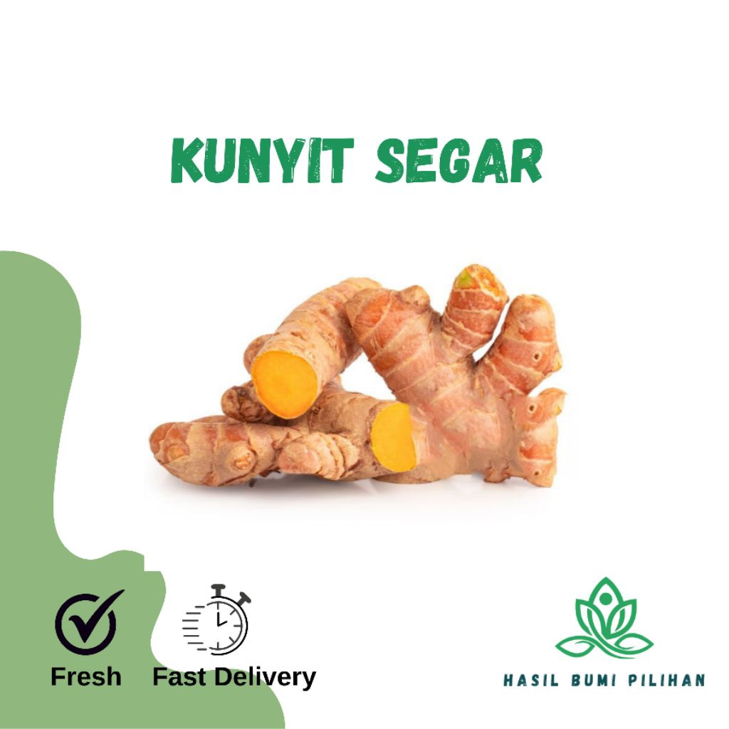 

Kunyit Kunir Kuning segar langsung dari kebun | Rempah kunyit aromatik sehat (500gr/1kg)