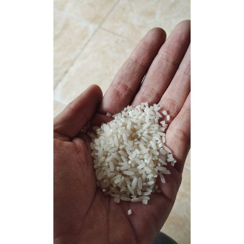 

BERAS SEHAT PULEN FRESH LANGSUNG DARI PETANI