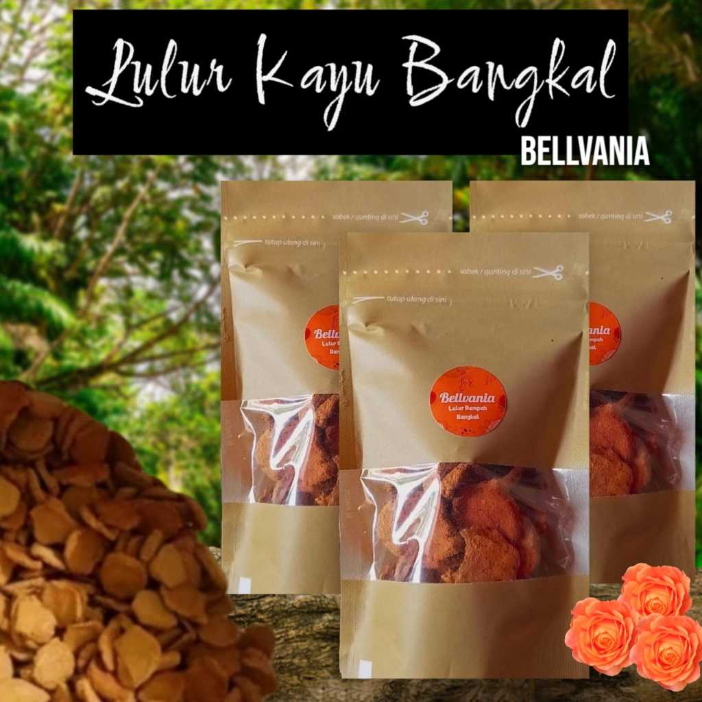 BANGKAL lulur rempah kayu bangkal khas bugis lulur rempah bangkal koin pemutih badan