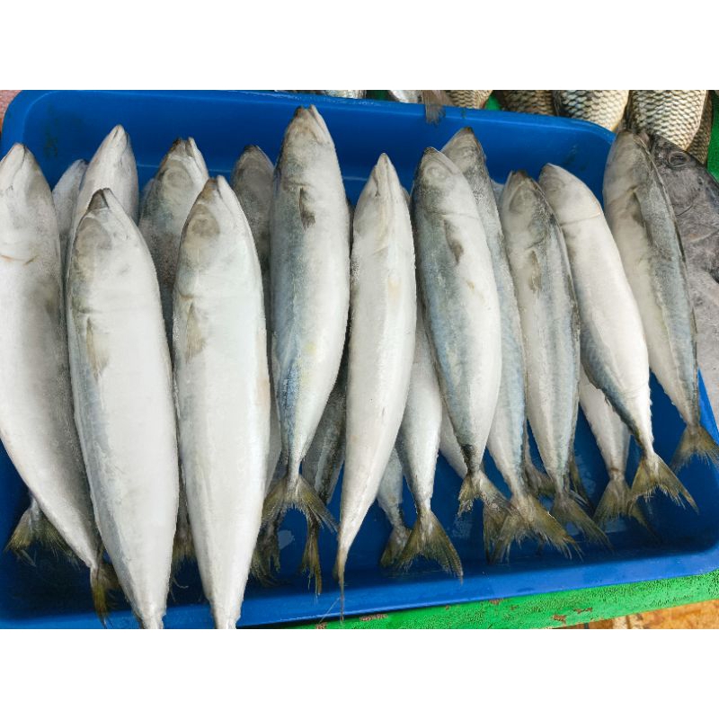 

ikan salem fresh seafood