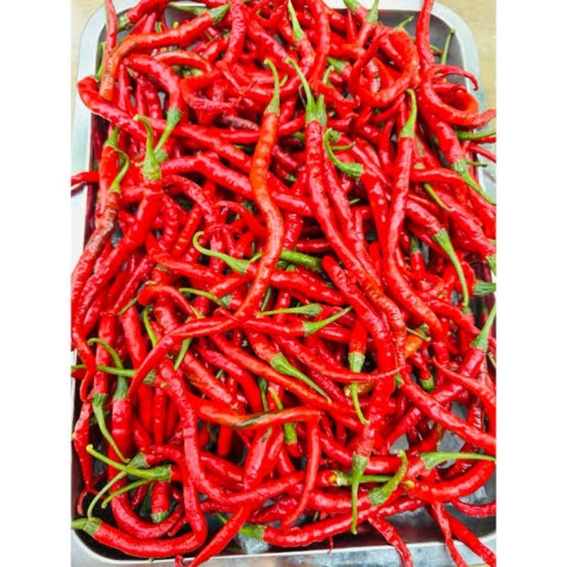 

1kilo Cabe Merah Imperial / Cabai Merah Segar