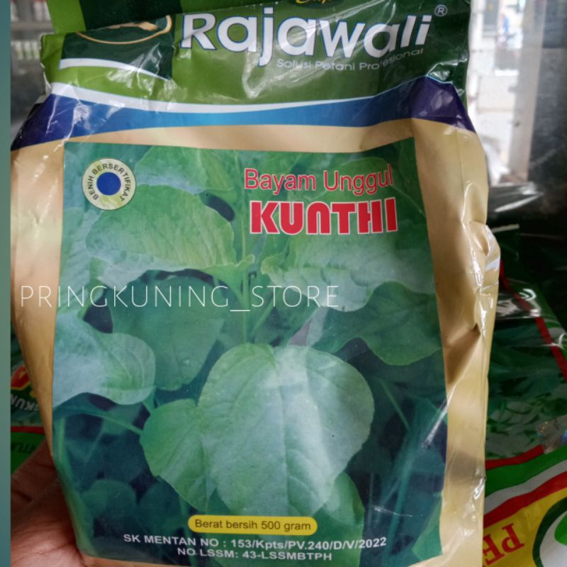 BENIH BAYAM KUANTHI RAJAWALI / BIBIT BAYAM RAJAWALI ORIGINAL PABRIK