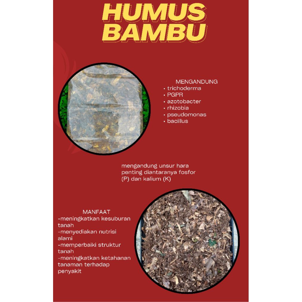 humus bambu/humus daun bambu termurah/humus bambu super
