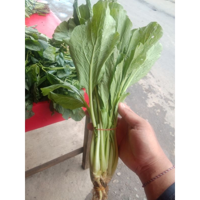

sawihijau/segar/fresh/berkualitas