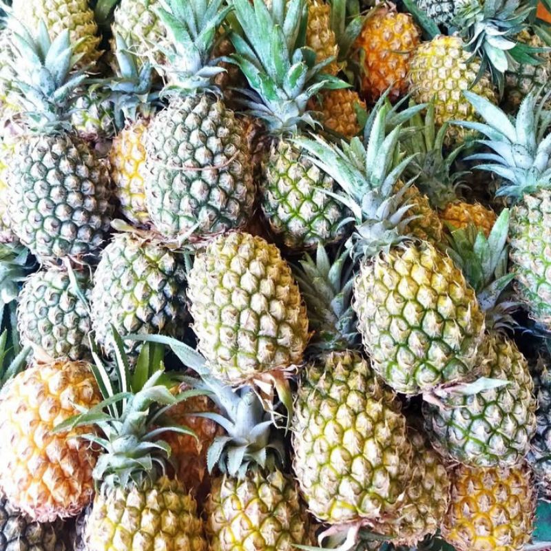 

nanas madu 1buah