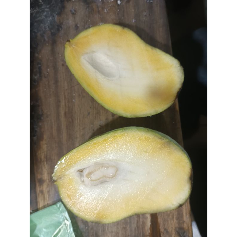 

Mangga Gembor/Mateng Cengkir, Gajah, Gedong, HR