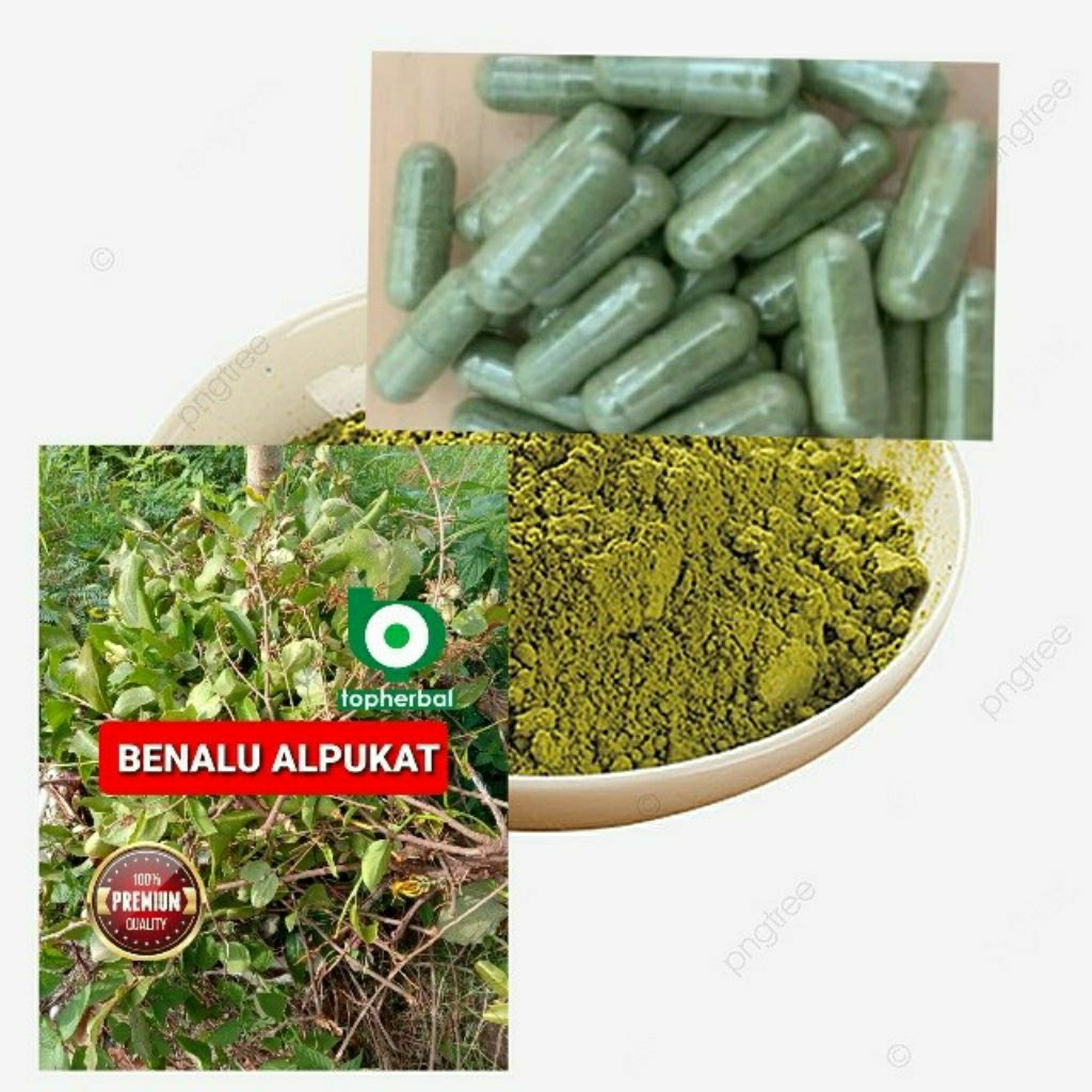 

Kapsul Benalu Alpukat isi 100 Kapsul (Kering Hijau Organik Super Premium)