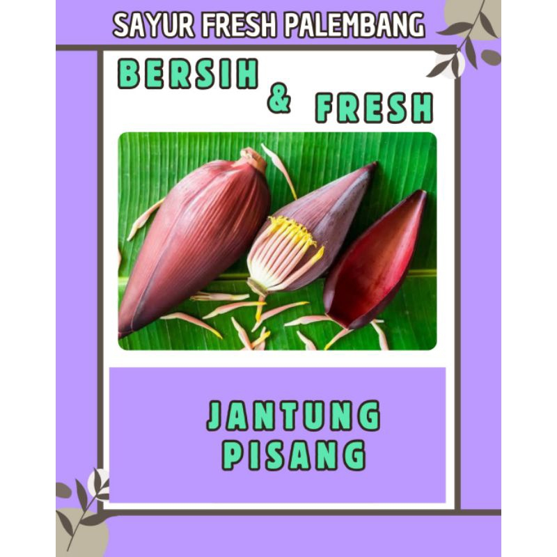 

JANTUNG PISANG 1 BUAH FRESH & BERSIH - PALEMBANG