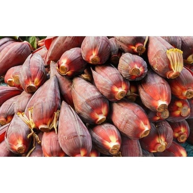 

Jantung Pisang Enak Super 1kg