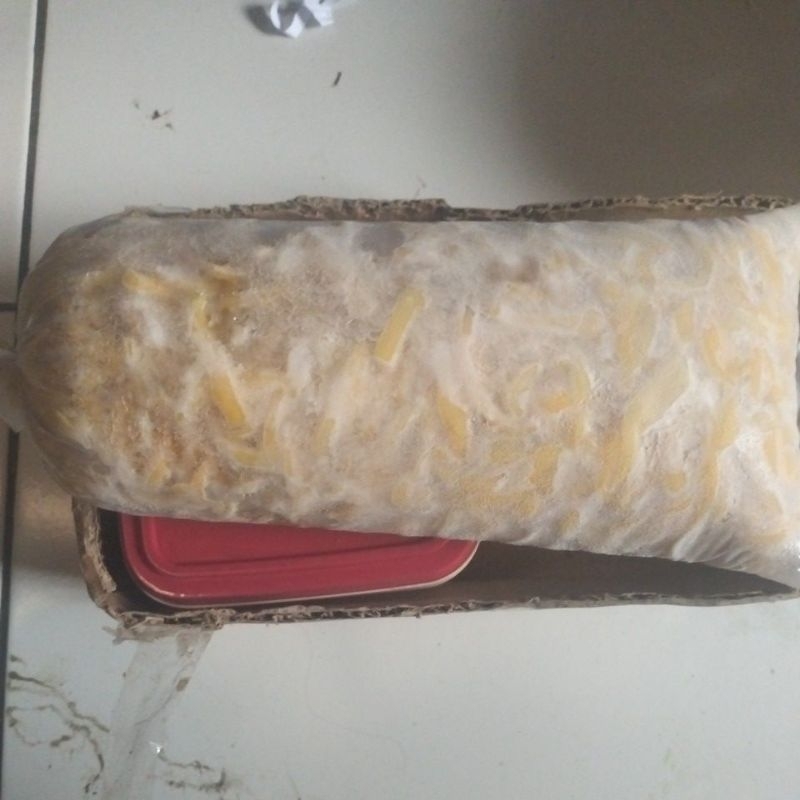 

nangka kupas tanpa biji di iris