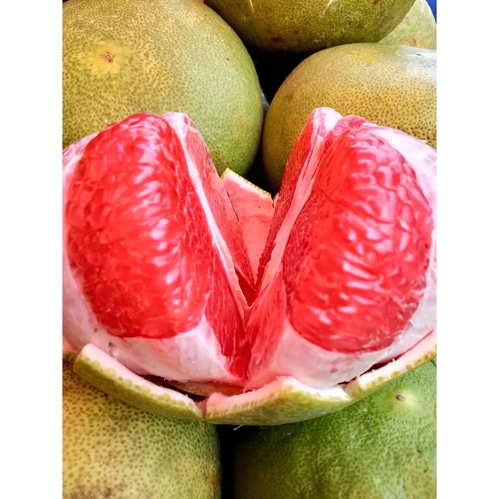 

jerukBalipamelomerah