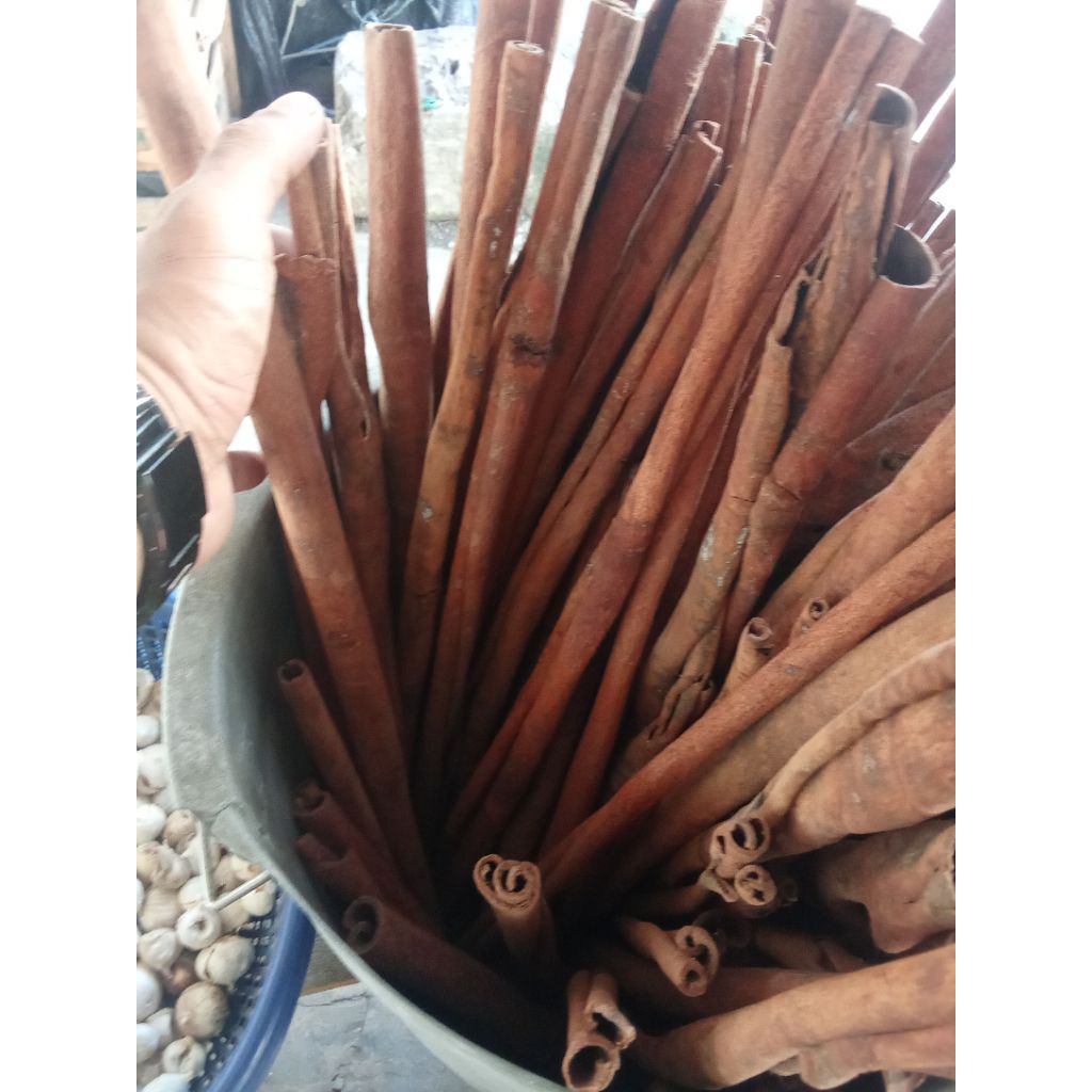 

KAYU MANIS CANTIK SEGER FREES BARU PER 250G