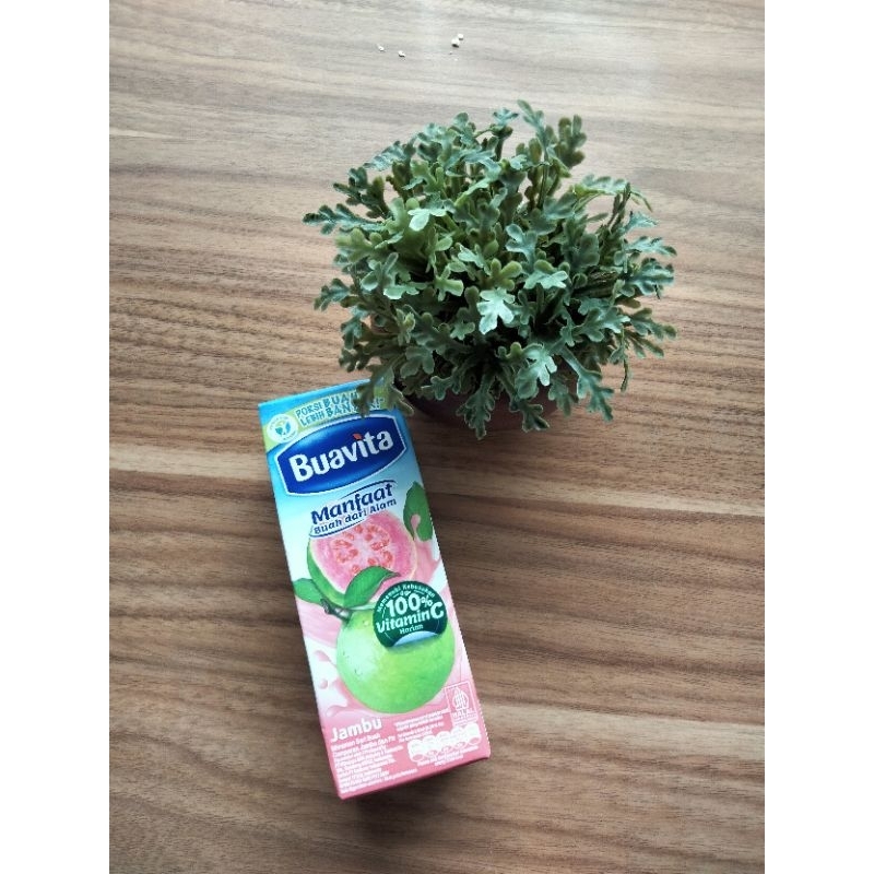 

buavita guava 245ml