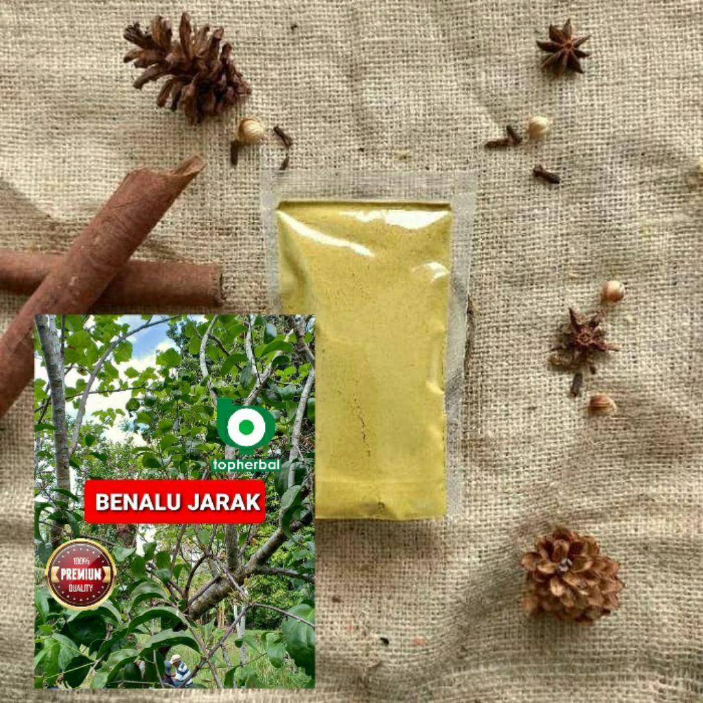 

Bubuk Benalu Jarak 1 Kg/1000 Gram Kering Hijau Organik Super Premium