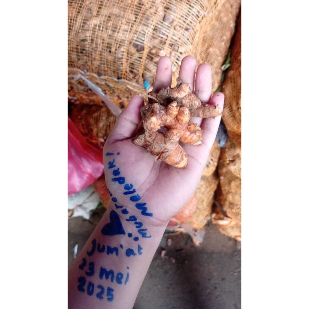 

Kunyit Fresh 1 kg