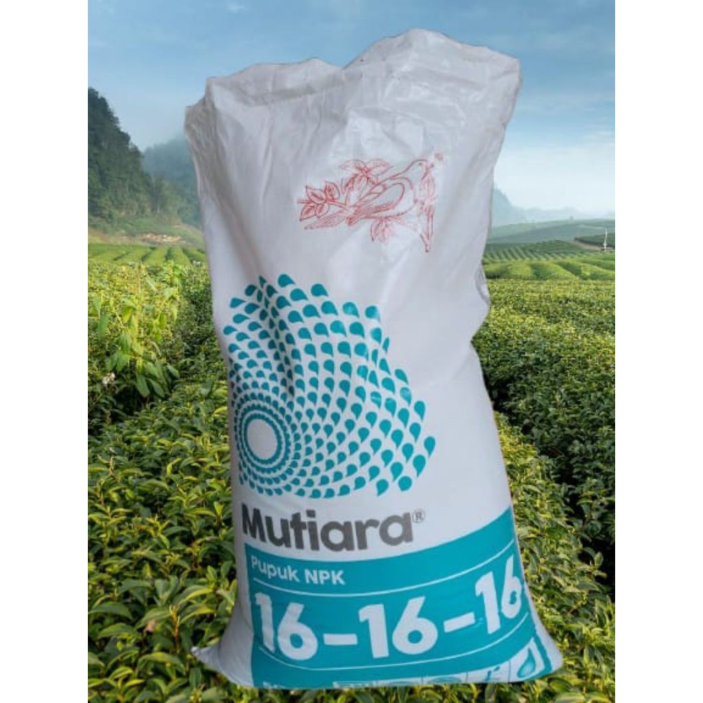 pupuk NPK mutiara 161616