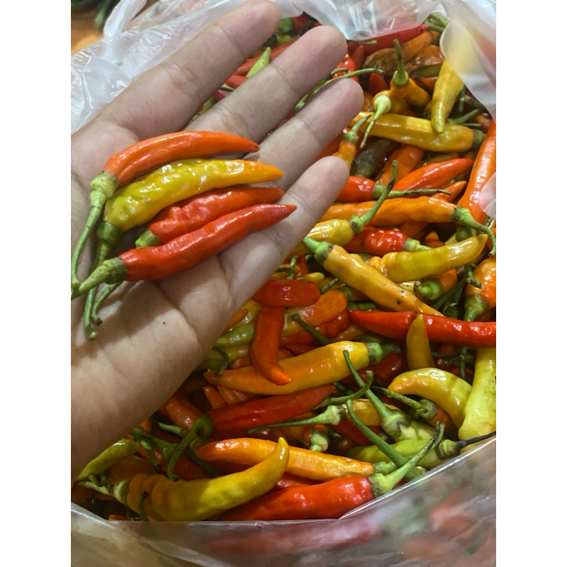 

Cabai rawit 250gr