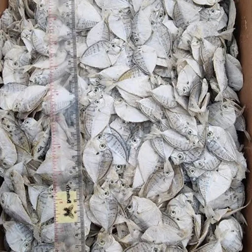 

150gram ikan asin petek kecil berkualitas