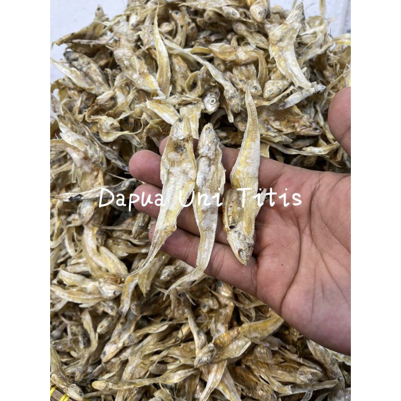 

Ikan Asin / Maco Bulu Ayam Premium berat 100gr