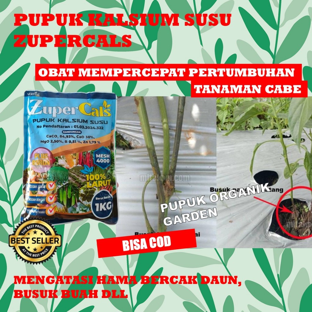 ZuperCals Pupuk perangsang buah cabe,Pupuk pelabat buah cabe,Pupuk penyubur buah cabe,Pupuk cabe