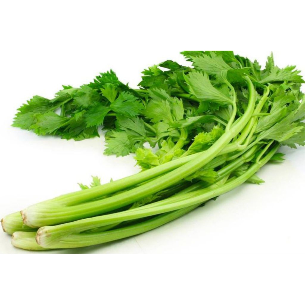 

daun seledri/daun sop segar