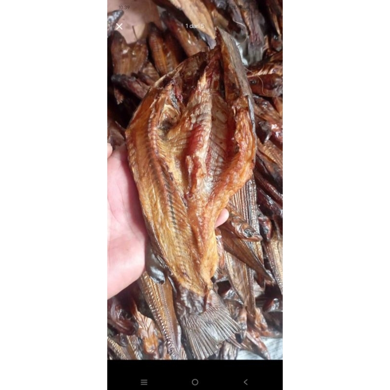 

salaiikanbaungsungaitapungriau