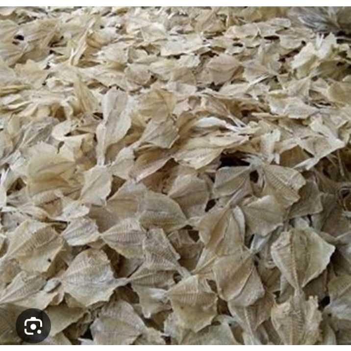

ikan asin kapas tawar murah dan enak
