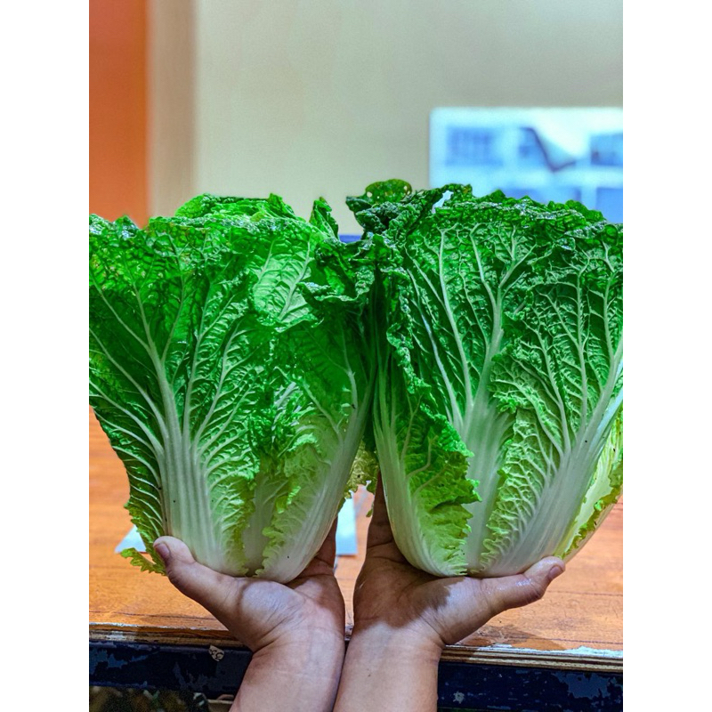 

Sawi putih 1kg