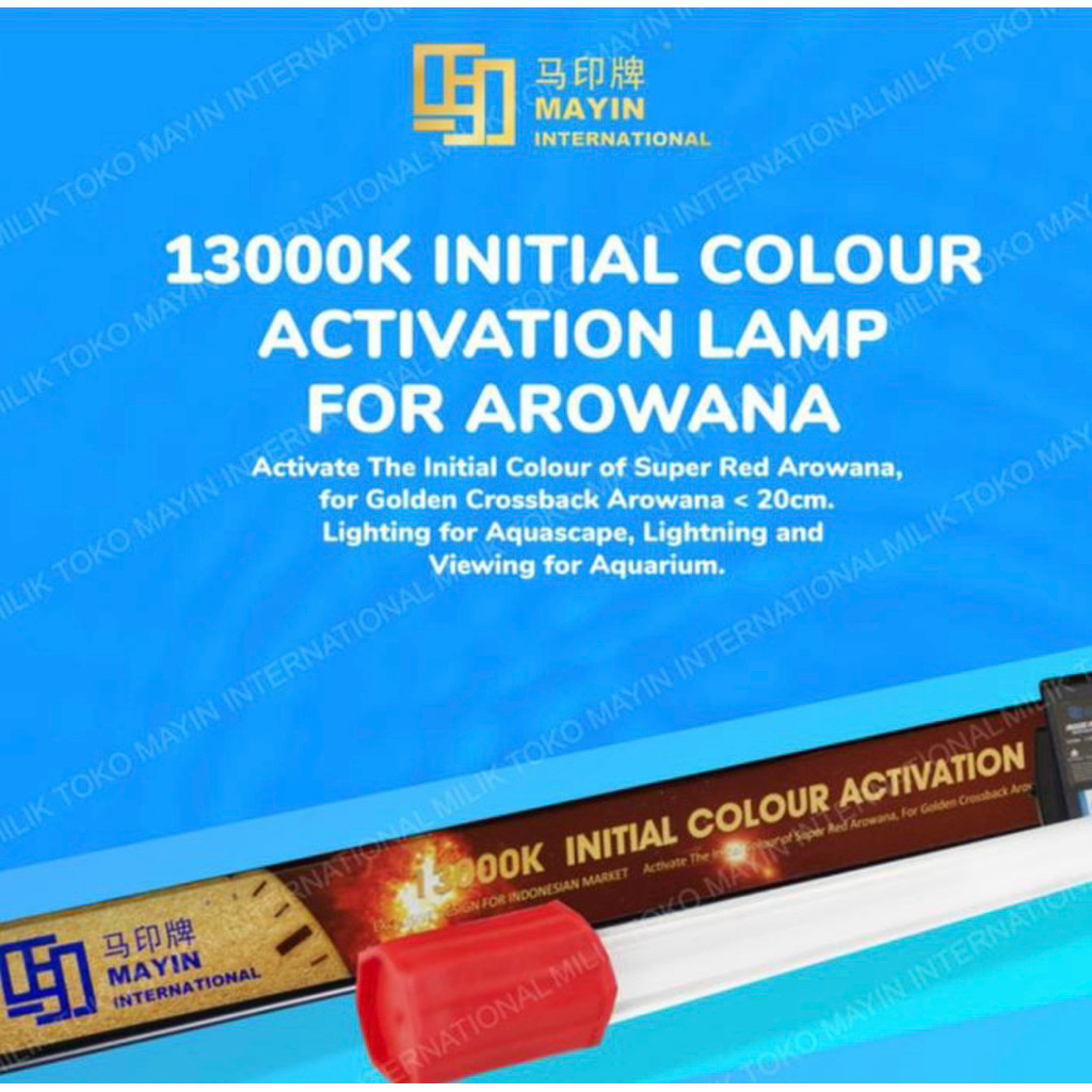 Lampu Tanning Submersible T5 MAYIN 13000k