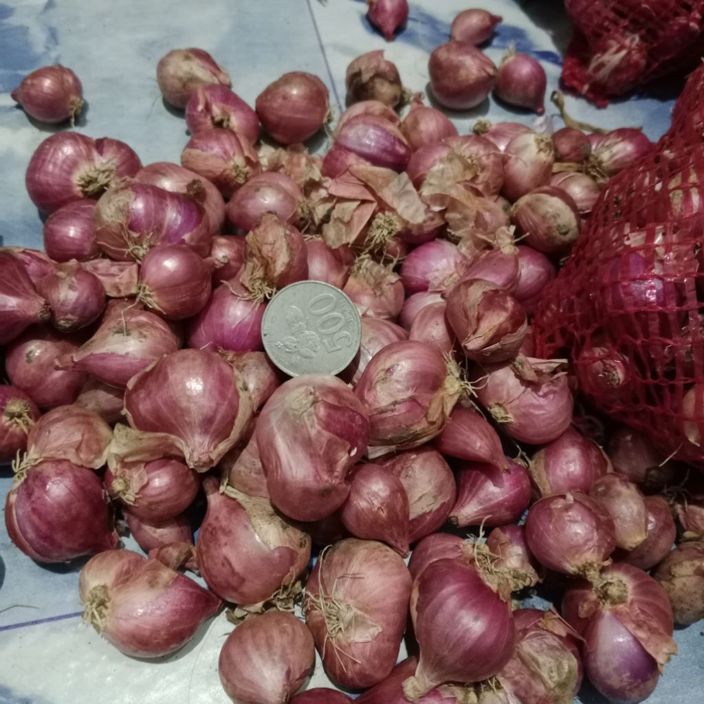 

PROMO BAWANG MERAH SUPER SEDANG DAN KERING ASLI NGANJUK
