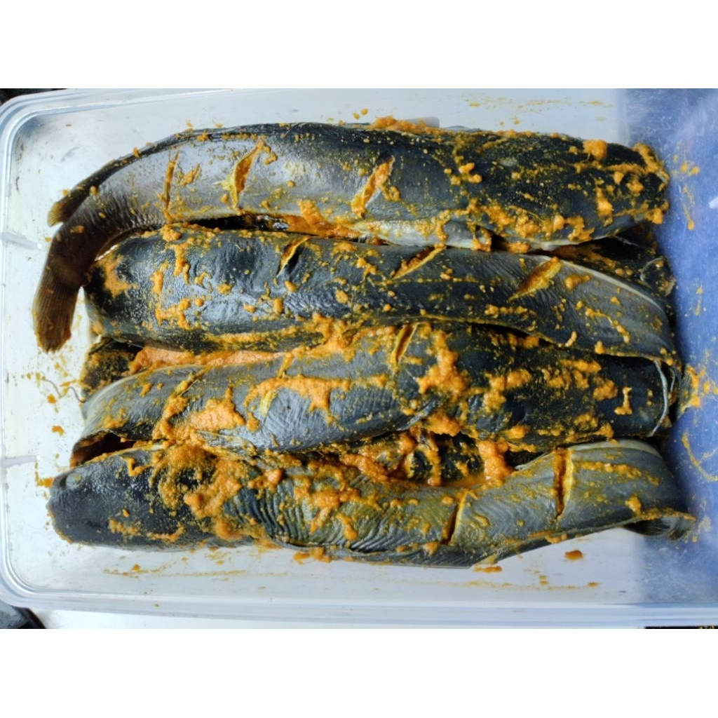 

Lele Bumbu Kuning Fresh/Frozen 500gr isi 3-4 ekor. HALAL (Free Kremesan)