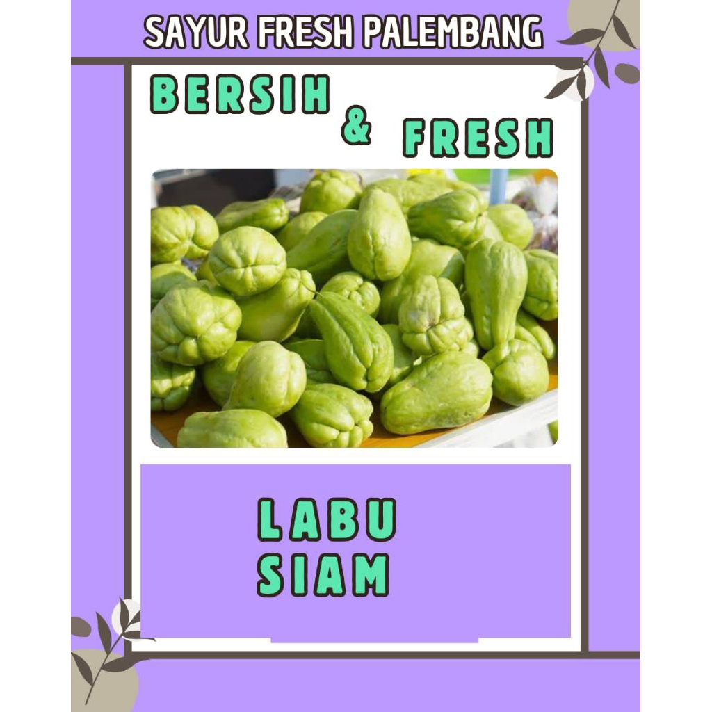 

LABU SIAM / JIPANG FRESH & BERSIH - PALEMBANG